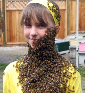 <em>I\’m covered in bees!</em>” title=”bee beard” width=”273″ height=”300″ class=”size-medium wp-image-595″ /><p id=