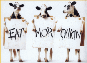 cows say eat more chicken