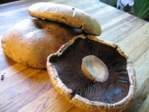portobello mushrooms port marinade