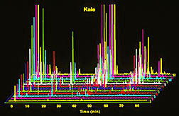 kale liquid chromatograph