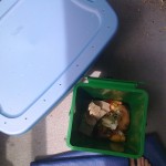 kitchen composting with worms