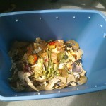 worm composting kitchen scraps